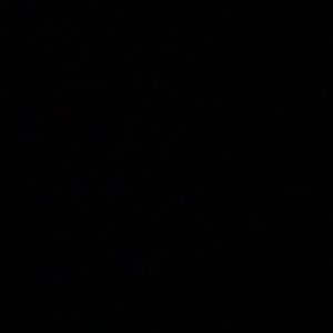 Meet your Posher, Luis